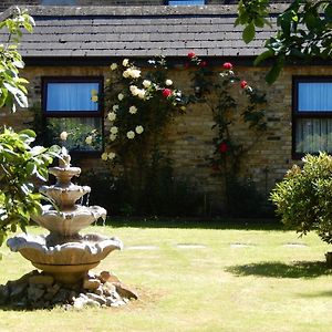Cottage Guest House